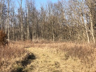 Union & Wayne Counties, Indiana Woods - ***SOLD PRIOR TO AUCTION*** LAND AUCTION - 172+/- ACRES OFFERED IN 4 TRACTS IN UNION & WAYNE COUNTY, INDIANA