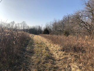Union & Wayne Counties, Indiana Woods - ***SOLD PRIOR TO AUCTION*** LAND AUCTION - 172+/- ACRES OFFERED IN 4 TRACTS IN UNION & WAYNE COUNTY, INDIANA