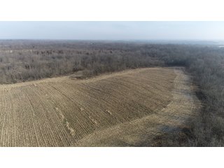 Union & Wayne Counties, Indiana Farmland - ***SOLD PRIOR TO AUCTION*** LAND AUCTION - 172+/- ACRES OFFERED IN 4 TRACTS IN UNION & WAYNE COUNTY, INDIANA