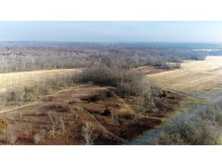 Union & Wayne Counties, Indiana Farmland - ***SOLD PRIOR TO AUCTION*** LAND AUCTION - 172+/- ACRES OFFERED IN 4 TRACTS IN UNION & WAYNE COUNTY, INDIANA