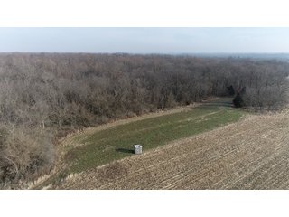 Union & Wayne Counties, Indiana Farmland - ***SOLD PRIOR TO AUCTION*** LAND AUCTION - 172+/- ACRES OFFERED IN 4 TRACTS IN UNION & WAYNE COUNTY, INDIANA