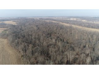 Union & Wayne Counties, Indiana Farmland - ***SOLD PRIOR TO AUCTION*** LAND AUCTION - 172+/- ACRES OFFERED IN 4 TRACTS IN UNION & WAYNE COUNTY, INDIANA