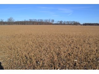 Jasper County, Indiana Farmland - REAL ESTATE AUCTION - 537+/- ACRES OFFERED IN 6 TRACTS IN JASPER COUNTY, INDIANA