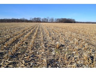 Jasper County, Indiana Farmland - REAL ESTATE AUCTION - 537+/- ACRES OFFERED IN 6 TRACTS IN JASPER COUNTY, INDIANA