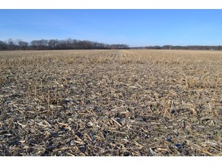 Jasper County, Indiana Farmland - REAL ESTATE AUCTION - 537+/- ACRES OFFERED IN 6 TRACTS IN JASPER COUNTY, INDIANA