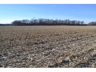 Jasper County, Indiana Farmland - REAL ESTATE AUCTION - 537+/- ACRES OFFERED IN 6 TRACTS IN JASPER COUNTY, INDIANA