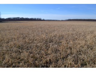 Jasper County, Indiana Farmland - REAL ESTATE AUCTION - 537+/- ACRES OFFERED IN 6 TRACTS IN JASPER COUNTY, INDIANA