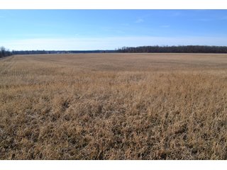Jasper County, Indiana Farmland - REAL ESTATE AUCTION - 537+/- ACRES OFFERED IN 6 TRACTS IN JASPER COUNTY, INDIANA