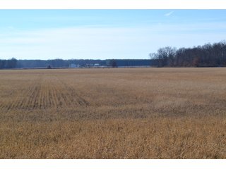 Jasper County, Indiana Farmland - REAL ESTATE AUCTION - 537+/- ACRES OFFERED IN 6 TRACTS IN JASPER COUNTY, INDIANA