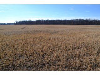 Jasper County, Indiana Farmland - REAL ESTATE AUCTION - 537+/- ACRES OFFERED IN 6 TRACTS IN JASPER COUNTY, INDIANA