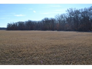 Jasper County, Indiana Farmland - REAL ESTATE AUCTION - 537+/- ACRES OFFERED IN 6 TRACTS IN JASPER COUNTY, INDIANA