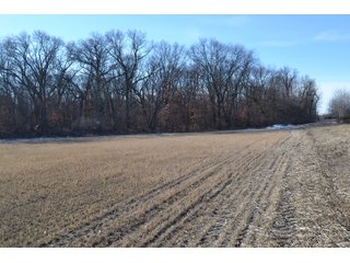 Jasper County, Indiana Farmland - REAL ESTATE AUCTION - 537+/- ACRES OFFERED IN 6 TRACTS IN JASPER COUNTY, INDIANA