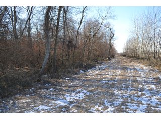 Jasper County, Indiana Farmland - REAL ESTATE AUCTION - 537+/- ACRES OFFERED IN 6 TRACTS IN JASPER COUNTY, INDIANA