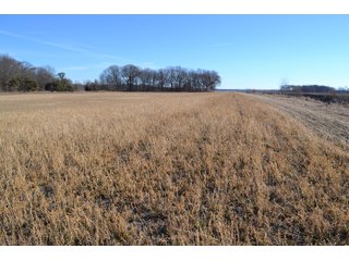 Jasper County, Indiana Farmland - REAL ESTATE AUCTION - 537+/- ACRES OFFERED IN 6 TRACTS IN JASPER COUNTY, INDIANA