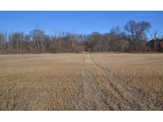 Jasper County, Indiana Farmland - REAL ESTATE AUCTION - 537+/- ACRES OFFERED IN 6 TRACTS IN JASPER COUNTY, INDIANA