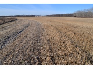 Jasper County, Indiana Farmland - REAL ESTATE AUCTION - 537+/- ACRES OFFERED IN 6 TRACTS IN JASPER COUNTY, INDIANA