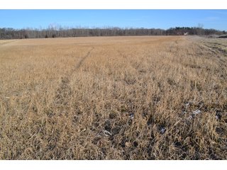 Jasper County, Indiana Farmland - REAL ESTATE AUCTION - 537+/- ACRES OFFERED IN 6 TRACTS IN JASPER COUNTY, INDIANA