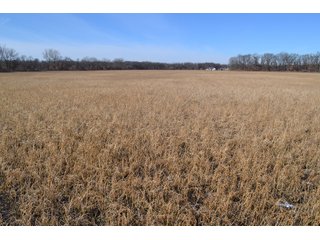 Jasper County, Indiana Farmland - REAL ESTATE AUCTION - 537+/- ACRES OFFERED IN 6 TRACTS IN JASPER COUNTY, INDIANA