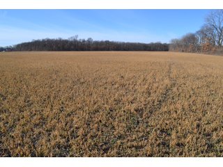 Jasper County, Indiana Farmland - REAL ESTATE AUCTION - 537+/- ACRES OFFERED IN 6 TRACTS IN JASPER COUNTY, INDIANA