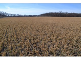 Jasper County, Indiana Farmland - REAL ESTATE AUCTION - 537+/- ACRES OFFERED IN 6 TRACTS IN JASPER COUNTY, INDIANA