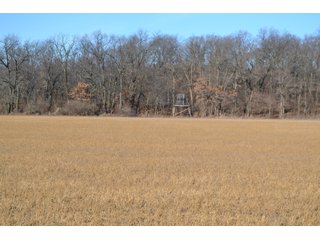 Jasper County, Indiana Farmland - REAL ESTATE AUCTION - 537+/- ACRES OFFERED IN 6 TRACTS IN JASPER COUNTY, INDIANA