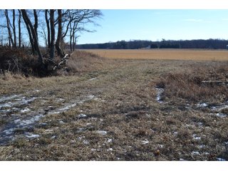 Jasper County, Indiana Farmland - REAL ESTATE AUCTION - 537+/- ACRES OFFERED IN 6 TRACTS IN JASPER COUNTY, INDIANA