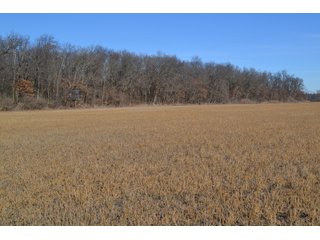 Jasper County, Indiana Farmland - REAL ESTATE AUCTION - 537+/- ACRES OFFERED IN 6 TRACTS IN JASPER COUNTY, INDIANA
