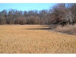 Jasper County, Indiana Farmland - REAL ESTATE AUCTION - 537+/- ACRES OFFERED IN 6 TRACTS IN JASPER COUNTY, INDIANA