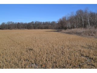 Jasper County, Indiana Farmland - REAL ESTATE AUCTION - 537+/- ACRES OFFERED IN 6 TRACTS IN JASPER COUNTY, INDIANA