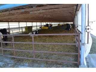 Outbuilding in Jasper County, Indiana - REAL ESTATE AUCTION - 537+/- ACRES OFFERED IN 6 TRACTS IN JASPER COUNTY, INDIANA