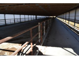 Outbuilding in Jasper County, Indiana - REAL ESTATE AUCTION - 537+/- ACRES OFFERED IN 6 TRACTS IN JASPER COUNTY, INDIANA