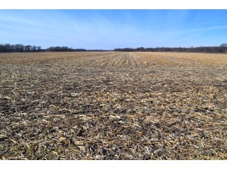 Jasper County, Indiana Farmland - REAL ESTATE AUCTION - 537+/- ACRES OFFERED IN 6 TRACTS IN JASPER COUNTY, INDIANA