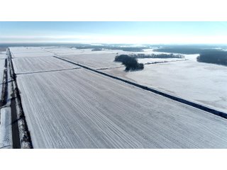 Jasper County, Indiana Farmland - REAL ESTATE AUCTION - 537+/- ACRES OFFERED IN 6 TRACTS IN JASPER COUNTY, INDIANA