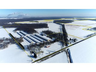 Jasper County, Indiana Farm - REAL ESTATE AUCTION - 537+/- ACRES OFFERED IN 6 TRACTS IN JASPER COUNTY, INDIANA