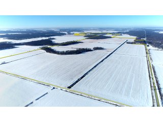 Jasper County, Indiana Farmland - REAL ESTATE AUCTION - 537+/- ACRES OFFERED IN 6 TRACTS IN JASPER COUNTY, INDIANA