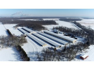 Jasper County, Indiana Farm - REAL ESTATE AUCTION - 537+/- ACRES OFFERED IN 6 TRACTS IN JASPER COUNTY, INDIANA