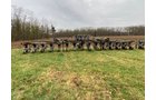 Property photo 50 - VIRTUAL SPRING EQUIPMENT CONSIGNMENT AUCTION