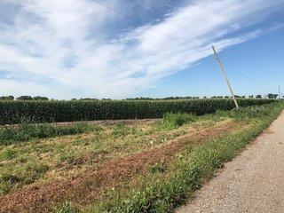 St. Joseph County, Indiana Farmland - LAND AUCTION - 120+/- ACRES OFFERED IN 1 TRACT IN ST. JOSEPH COUNTY, INDIANA