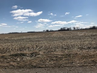 St. Joseph County, Indiana Farmland - LAND AUCTION - 120+/- ACRES OFFERED IN 1 TRACT IN ST. JOSEPH COUNTY, INDIANA