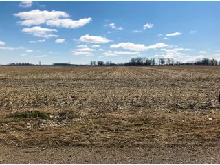 St. Joseph County, Indiana Farmland - LAND AUCTION - 120+/- ACRES OFFERED IN 1 TRACT IN ST. JOSEPH COUNTY, INDIANA