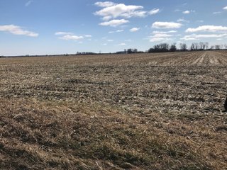 St. Joseph County, Indiana Farmland - LAND AUCTION - 120+/- ACRES OFFERED IN 1 TRACT IN ST. JOSEPH COUNTY, INDIANA
