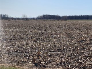 Property photo 52 - REAL ESTATE AUCTION - 64+/- ACRES OFFERED IN 5 TRACTS OR COMBINATIONS IN ALLEN COUNTY, INDIANA