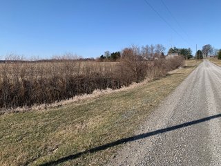 Property photo 51 - REAL ESTATE AUCTION - 64+/- ACRES OFFERED IN 5 TRACTS OR COMBINATIONS IN ALLEN COUNTY, INDIANA