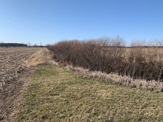 Property photo 50 - REAL ESTATE AUCTION - 64+/- ACRES OFFERED IN 5 TRACTS OR COMBINATIONS IN ALLEN COUNTY, INDIANA