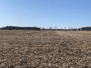 Property photo 45 - REAL ESTATE AUCTION - 64+/- ACRES OFFERED IN 5 TRACTS OR COMBINATIONS IN ALLEN COUNTY, INDIANA