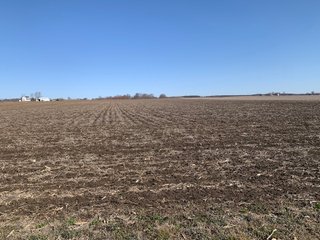 Property photo 75 - REAL ESTATE AUCTION - 64+/- ACRES OFFERED IN 5 TRACTS OR COMBINATIONS IN ALLEN COUNTY, INDIANA