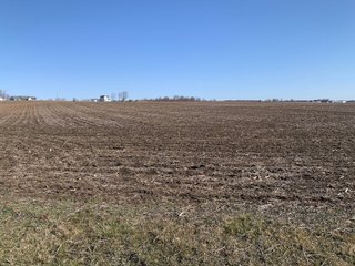Property photo 73 - REAL ESTATE AUCTION - 64+/- ACRES OFFERED IN 5 TRACTS OR COMBINATIONS IN ALLEN COUNTY, INDIANA