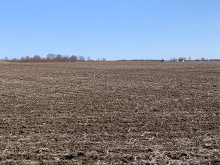 Property photo 69 - REAL ESTATE AUCTION - 64+/- ACRES OFFERED IN 5 TRACTS OR COMBINATIONS IN ALLEN COUNTY, INDIANA