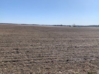 Property photo 60 - REAL ESTATE AUCTION - 64+/- ACRES OFFERED IN 5 TRACTS OR COMBINATIONS IN ALLEN COUNTY, INDIANA
