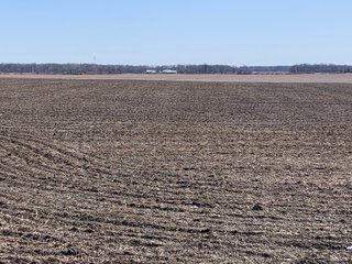 Property photo 15 - REAL ESTATE AUCTION - 64+/- ACRES OFFERED IN 5 TRACTS OR COMBINATIONS IN ALLEN COUNTY, INDIANA